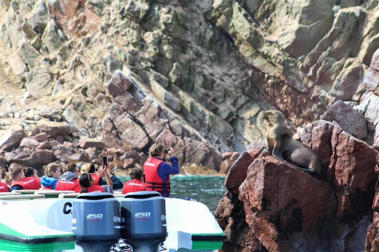Aquamarine Paracas Beach Hostal المظهر الخارجي الصورة