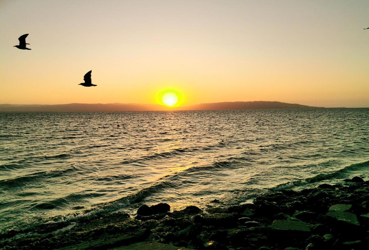 Aquamarine Paracas Beach Hostal المظهر الخارجي الصورة